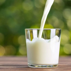 Milk